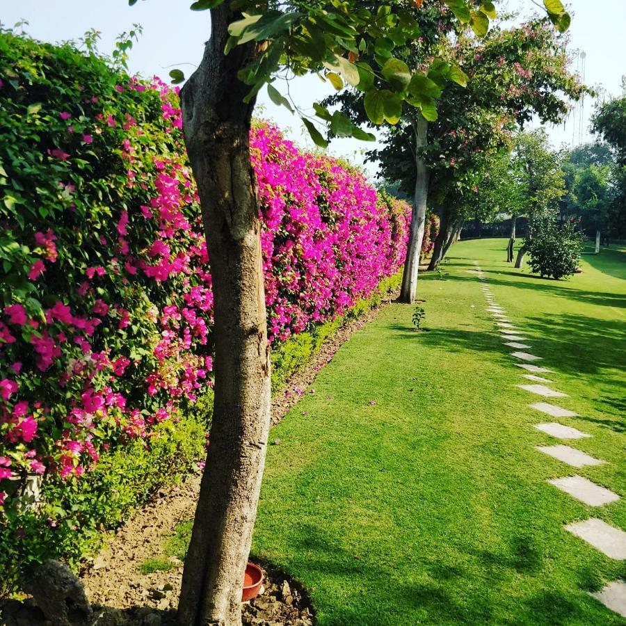 Отель Trident Agra Агра Экстерьер фото The campus